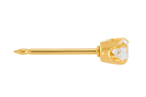 Perforación con Noah bañado Oro 24K Inverness Aritos Hipoalergénicos