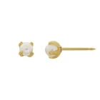 Perforación con Aritos Perlita Oro Inverness Bañados en oro 24K