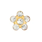 Perforación con Flor Cristal bañado Oro Inverness Bañados en oro 24K