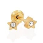 Perforación con Estrella Cristal bañado Oro Inverness Bañados en oro 24K